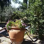 La Dolce Casetta Appartement Grottaferrata