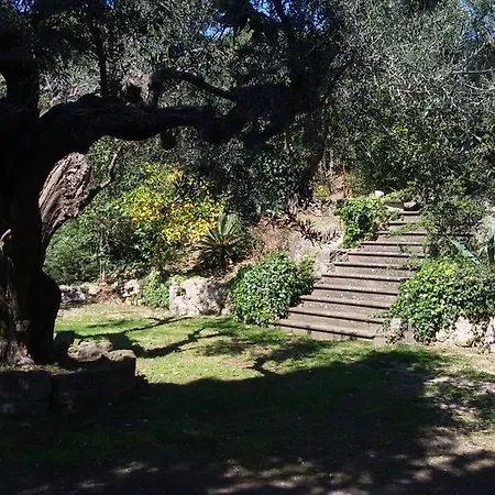 Apartament La Dolce Casetta Grottaferrata