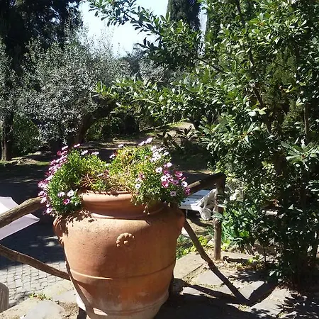 La Dolce Casetta Apartament Grottaferrata