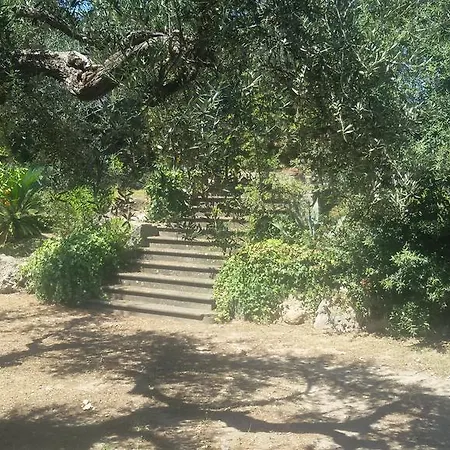 Apartament La Dolce Casetta Grottaferrata