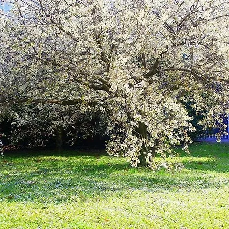Apartament La Dolce Casetta