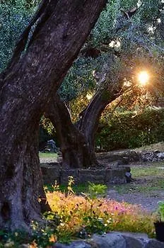 La Dolce Casetta Grottaferrata