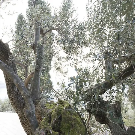 Appartamento La Dolce Casetta Grottaferrata