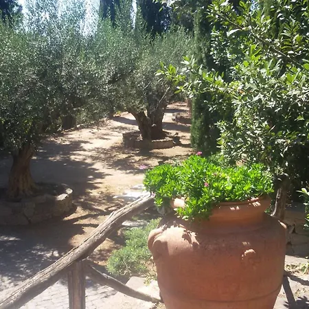La Dolce Casetta شقة غروتافراتا