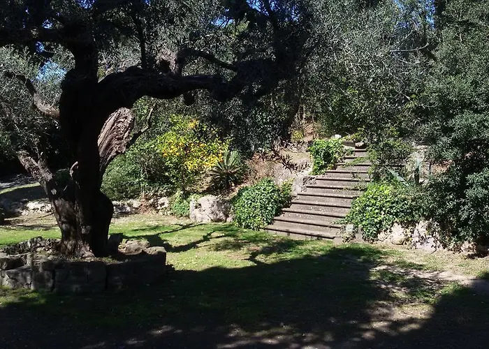 Διαμέρισμα La Dolce Casetta Grottaferrata